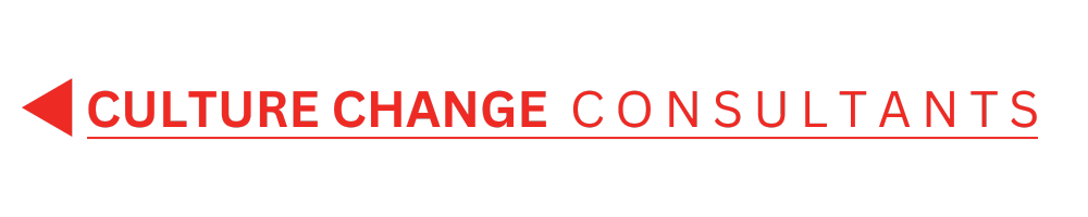Culture Change Consultants