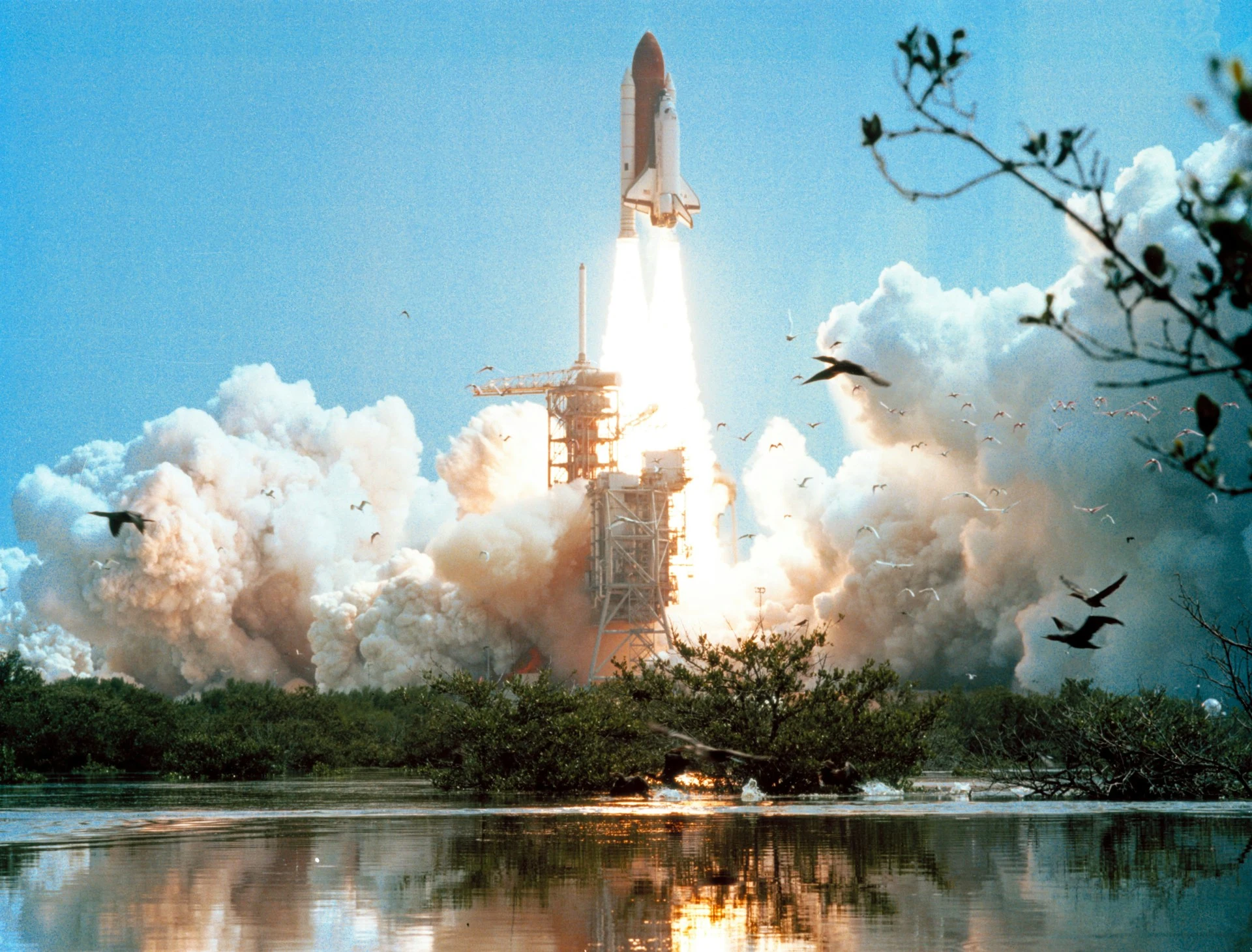 Site Launch
